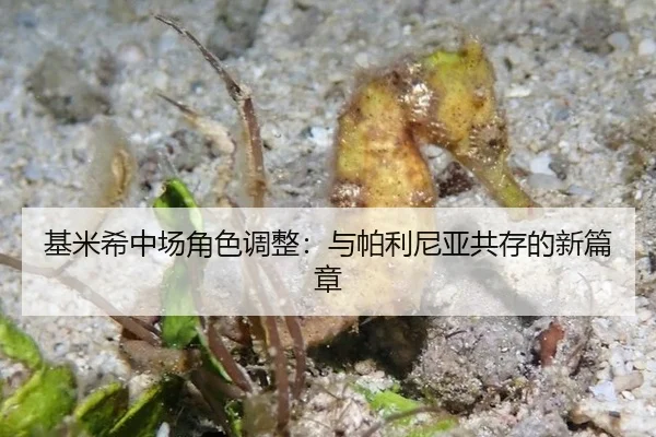 基米希中场角色调整：与帕利尼亚共存的新篇章