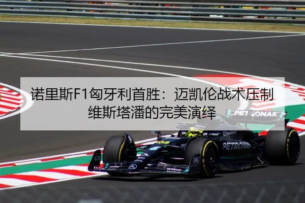 诺里斯F1匈牙利首胜：迈凯伦战术压制维斯塔潘的完美演绎