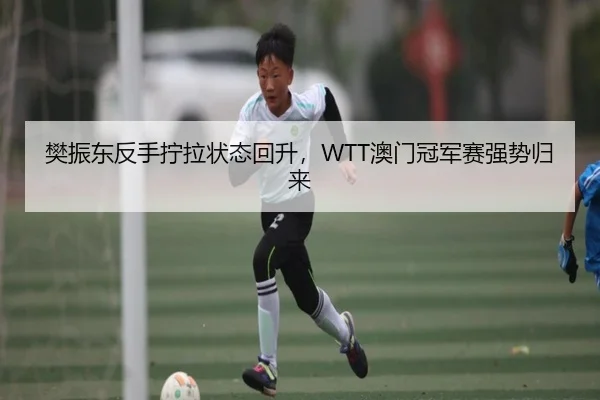 樊振东反手拧拉状态回升，WTT澳门冠军赛强势归来